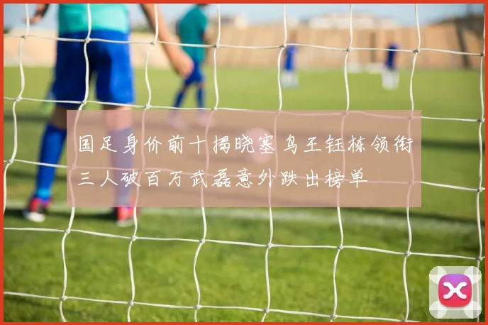 国足身价前十揭晓塞鸟王钰栋领衔三人破百万武磊意外跌出榜单