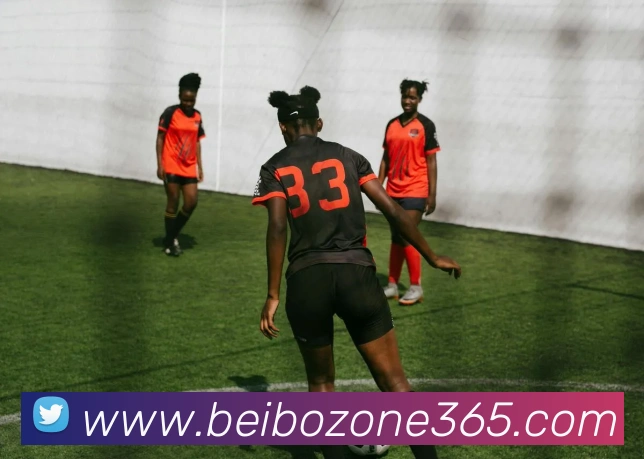 多媒体互动体验